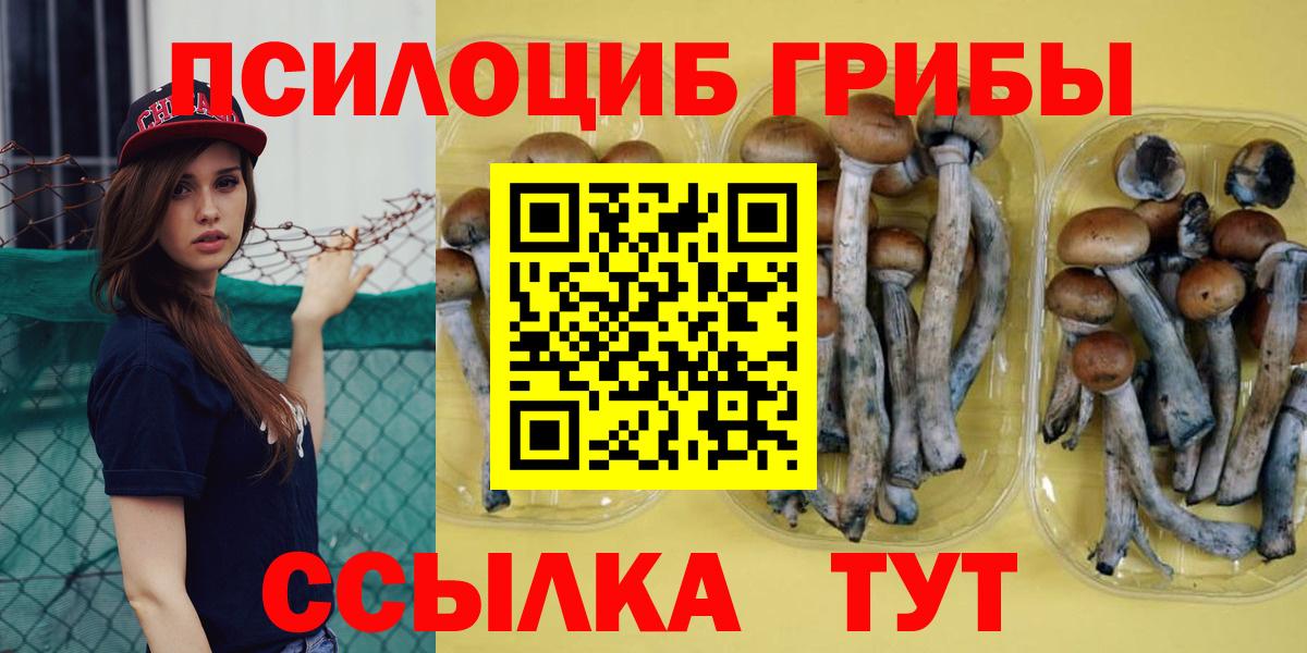 Псилоцибиновые грибы ЛСД Сертолово